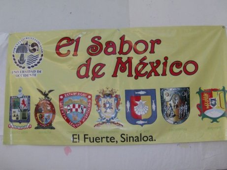 Our Banner. The México's Flavor: 7 states